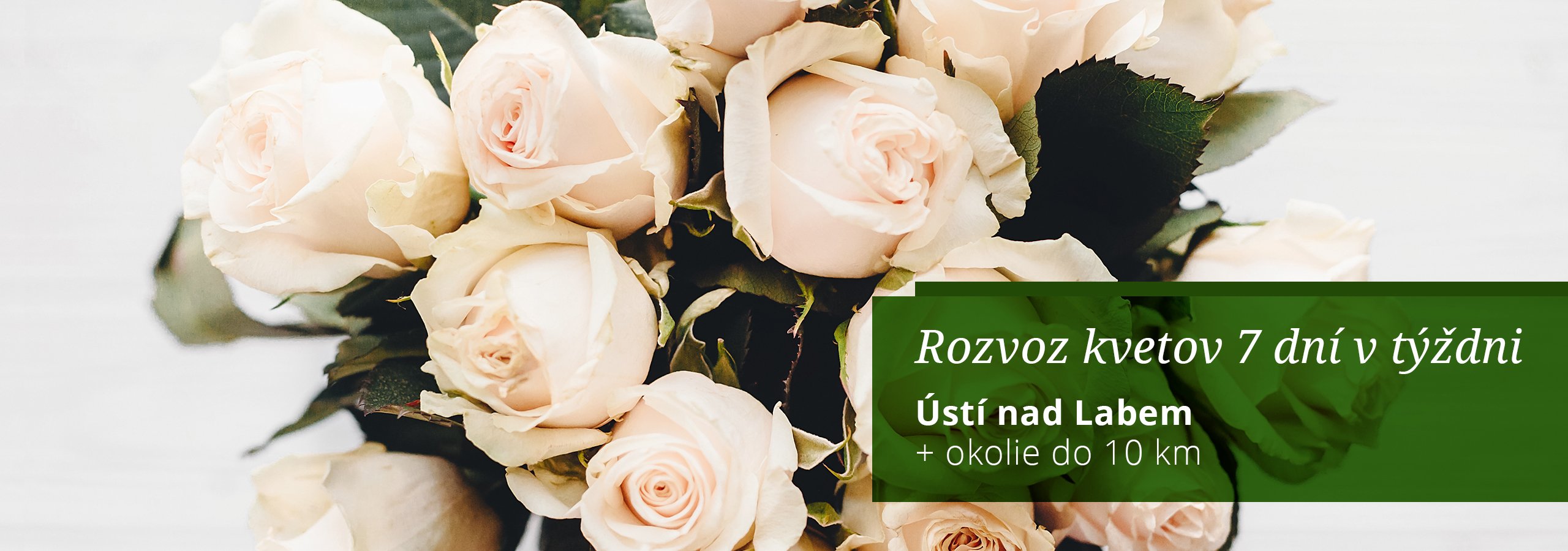 Květiny Hana | Rozvoz kvetov