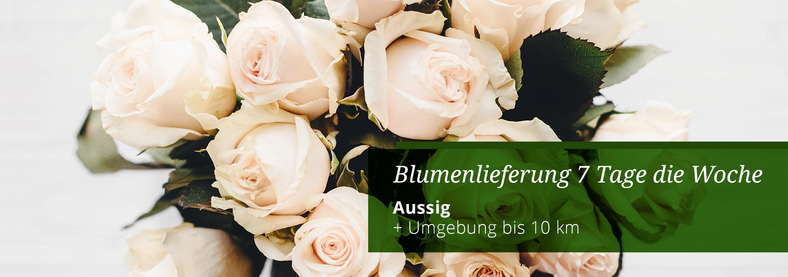 Květiny Hana | Blumenlieferung