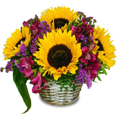 Korb voller Sonnenblumen und Alstroemeria