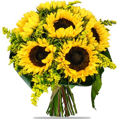 Elegante Sonnenblumen