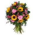 Sonnenblumen und Alstrometrie