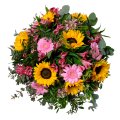 Sonnenblumen und Alstrometrie