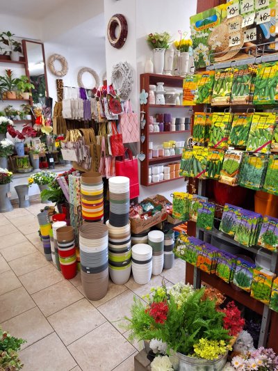 WhatsApp Image 2026-01-20 at 14.25.25 (2).jpeg