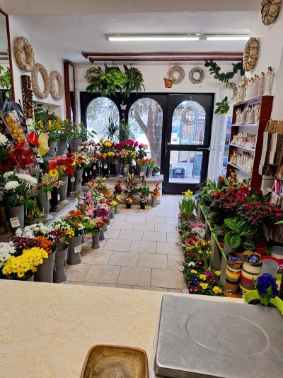 WhatsApp Image 2026-01-20 at 14.25.25 (5).jpeg