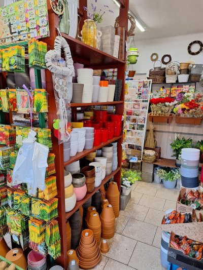 WhatsApp Image 2026-01-20 at 14.25.25.jpeg